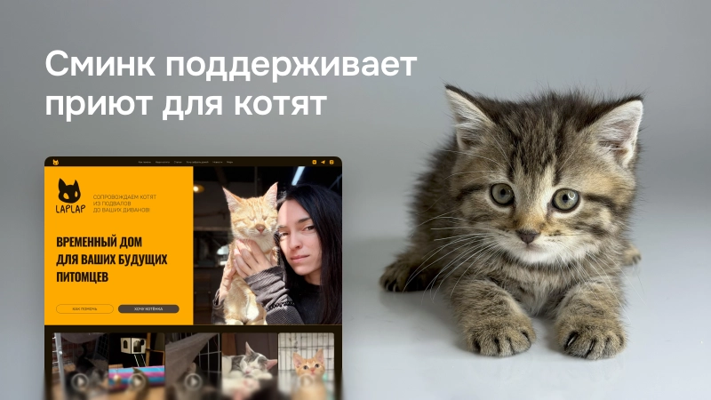 Сминк поддерживает приют для котят «Лаплап»