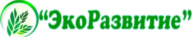 Разработка корпоративного сайта экологической компании «ЭкоРазвитие»