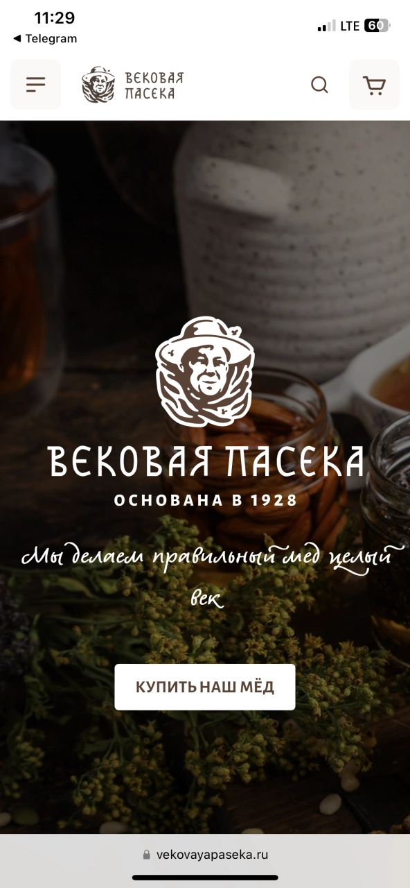 Главная страница