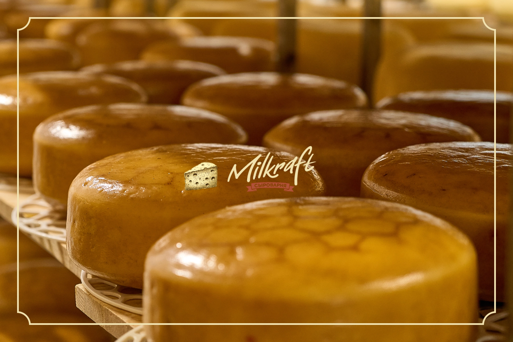 Интернет-магазин ремесленной сыроварни Milkraft