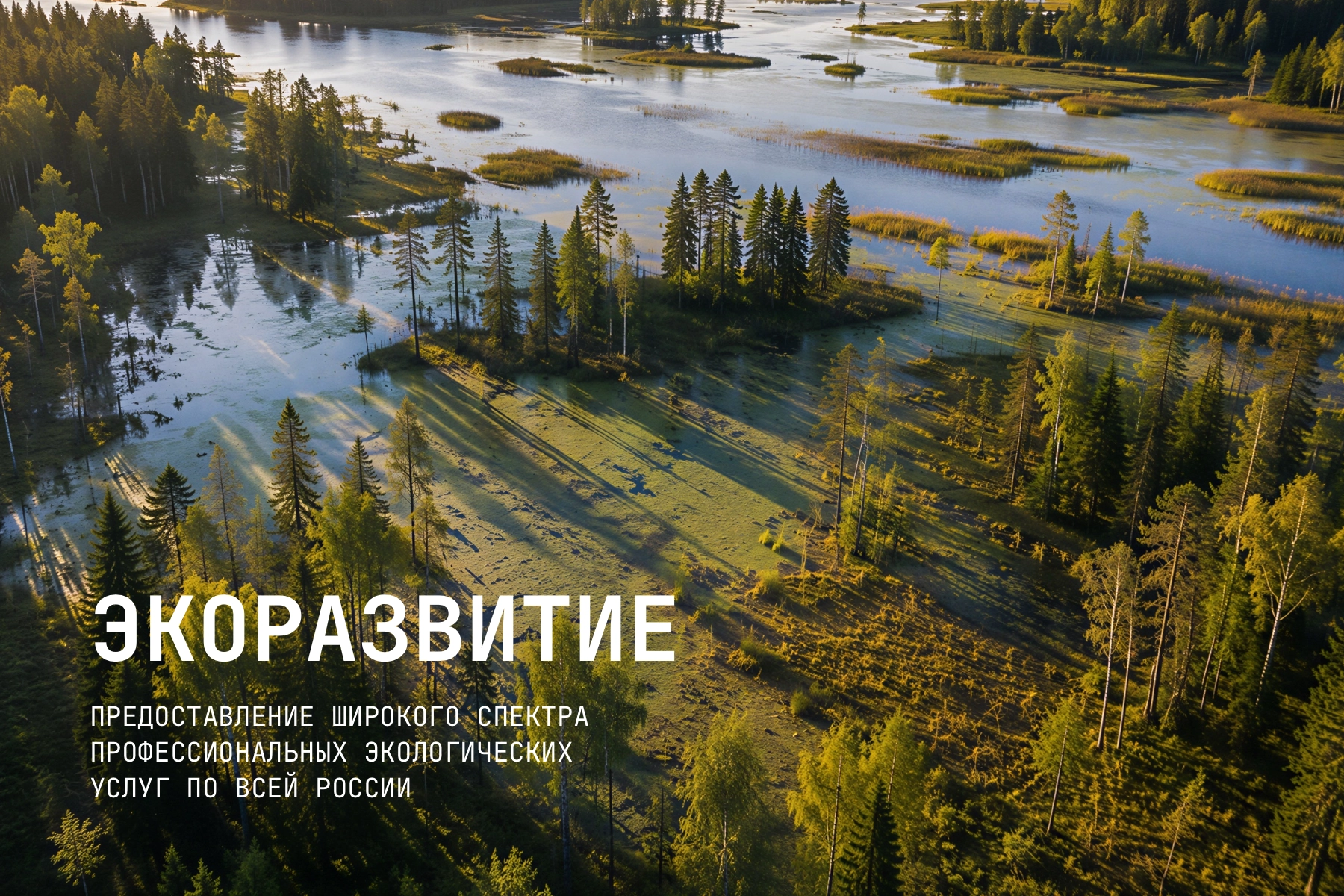 Разработка корпоративного сайта экологической компании «ЭкоРазвитие»