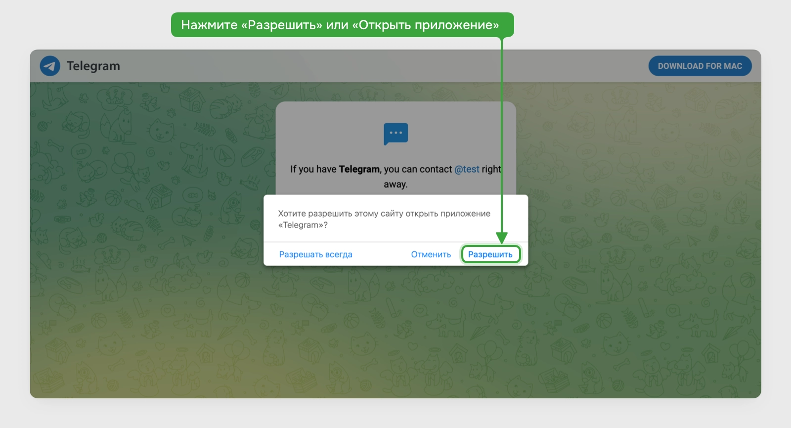 Интеграция Telegram